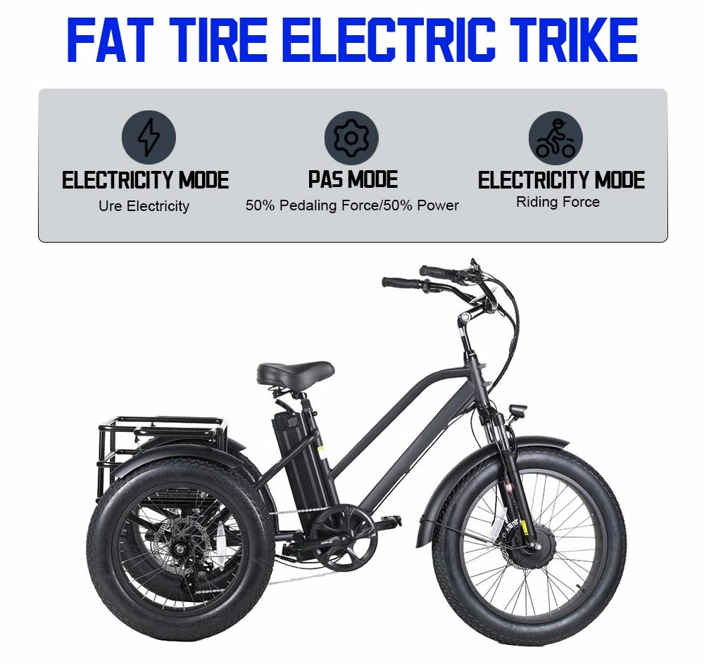 Electric Trike Fat Tire Three Wheel Electric Tricycle Three Wheels Adult Cargo Electric Bike Vintage Ebike 20&prime; &prime;