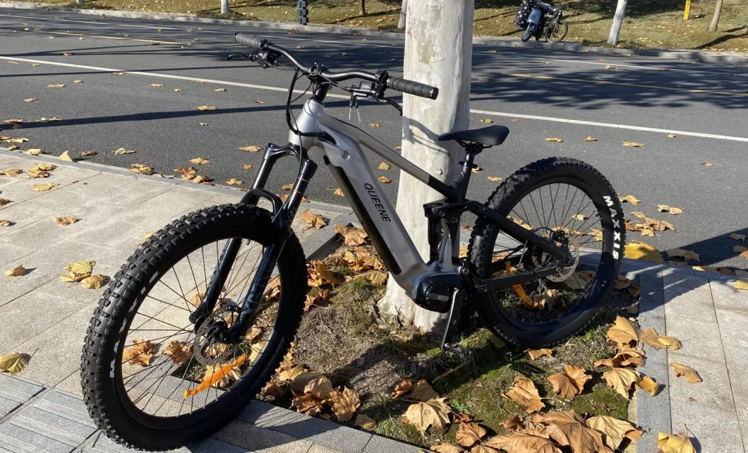 Central Drive Electro Elektro Mountainbike Fiet Elektrische Fatbike E Bike Electric Bicycle