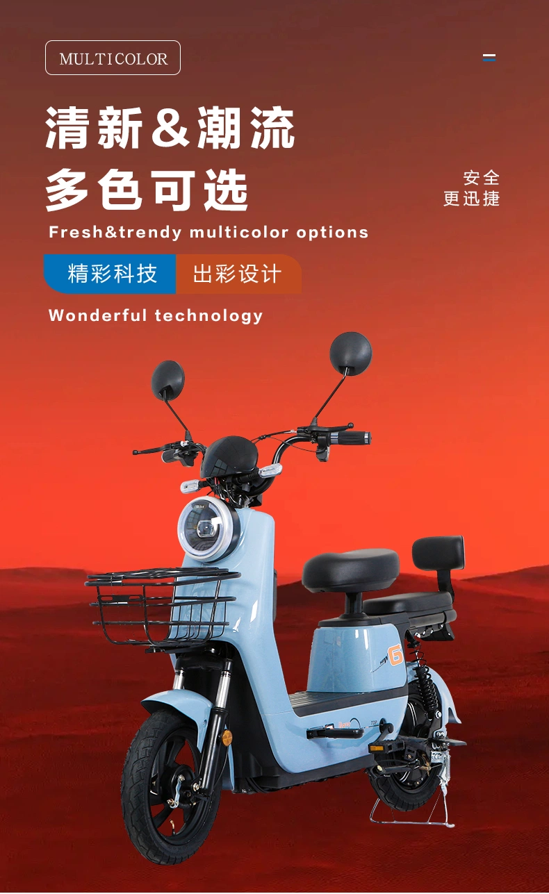 Electric Scooter Adults Electric Cargo Ebike Downhill Bike Sava Road Bike