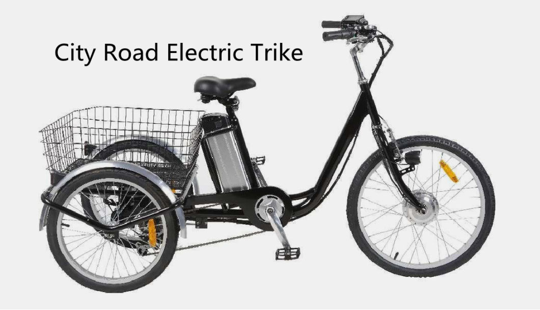 24 Inch Electric Trike 750W Motor Fat Tire 3 Wheel Trike Three Wheels Cargo Electric Bike Trike with Basket