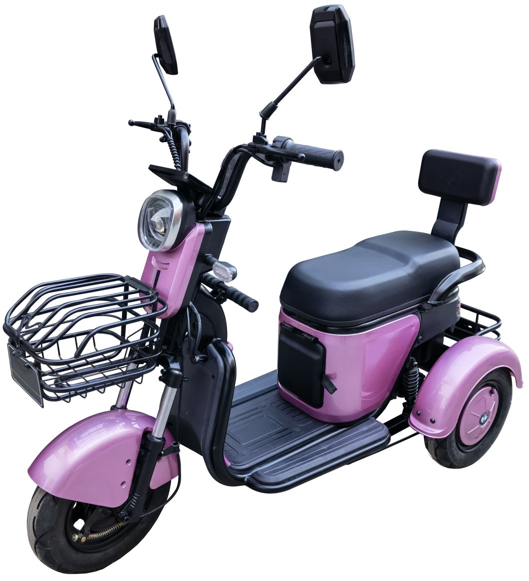 25km/H Motorized Tricycles for Adults Three Wheel Motor Bike