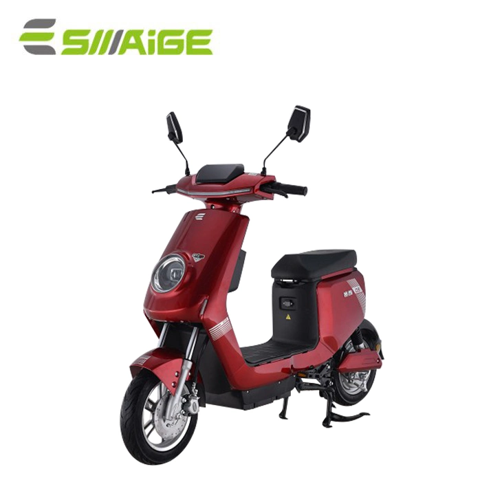 1000W Adult Mini Electric Moped Scooter/Motorcycles/Bicycle Battery Made in China