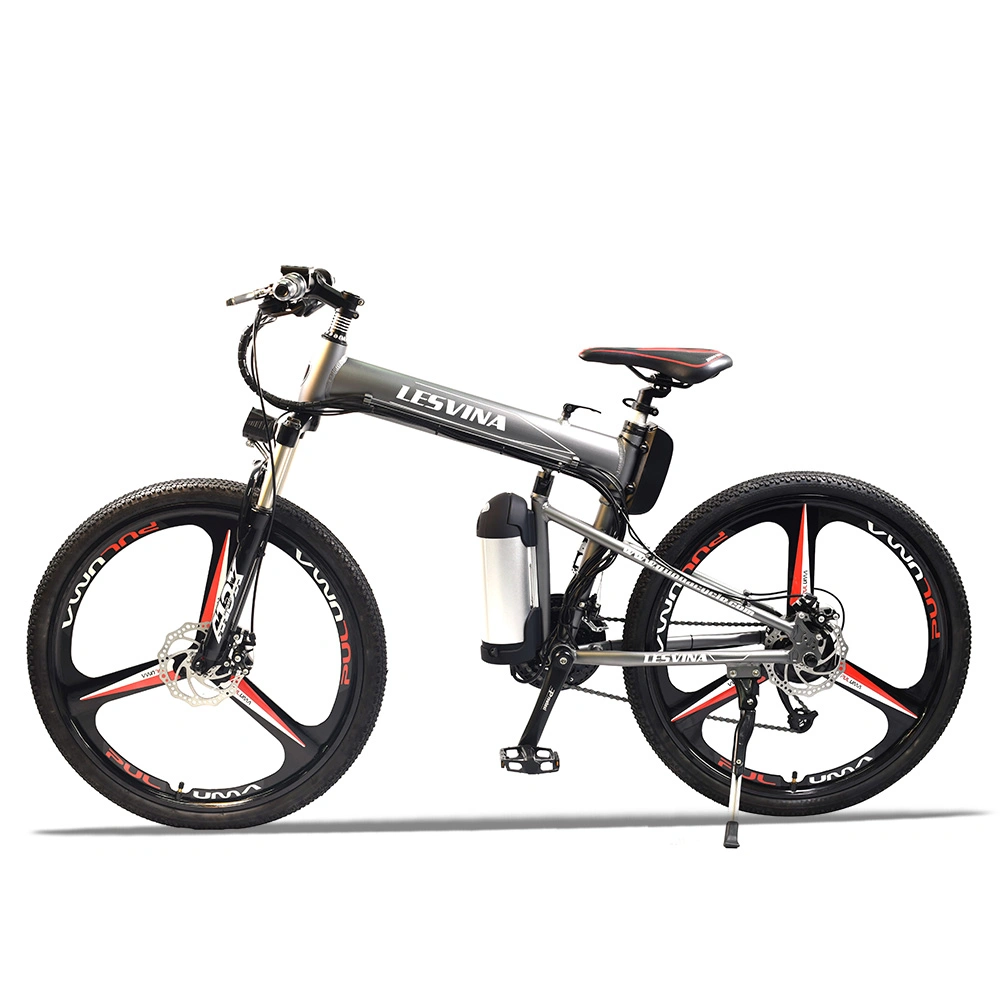 Lithium Battery Foldable Electric Bike with 3 Knife Rim Ebike