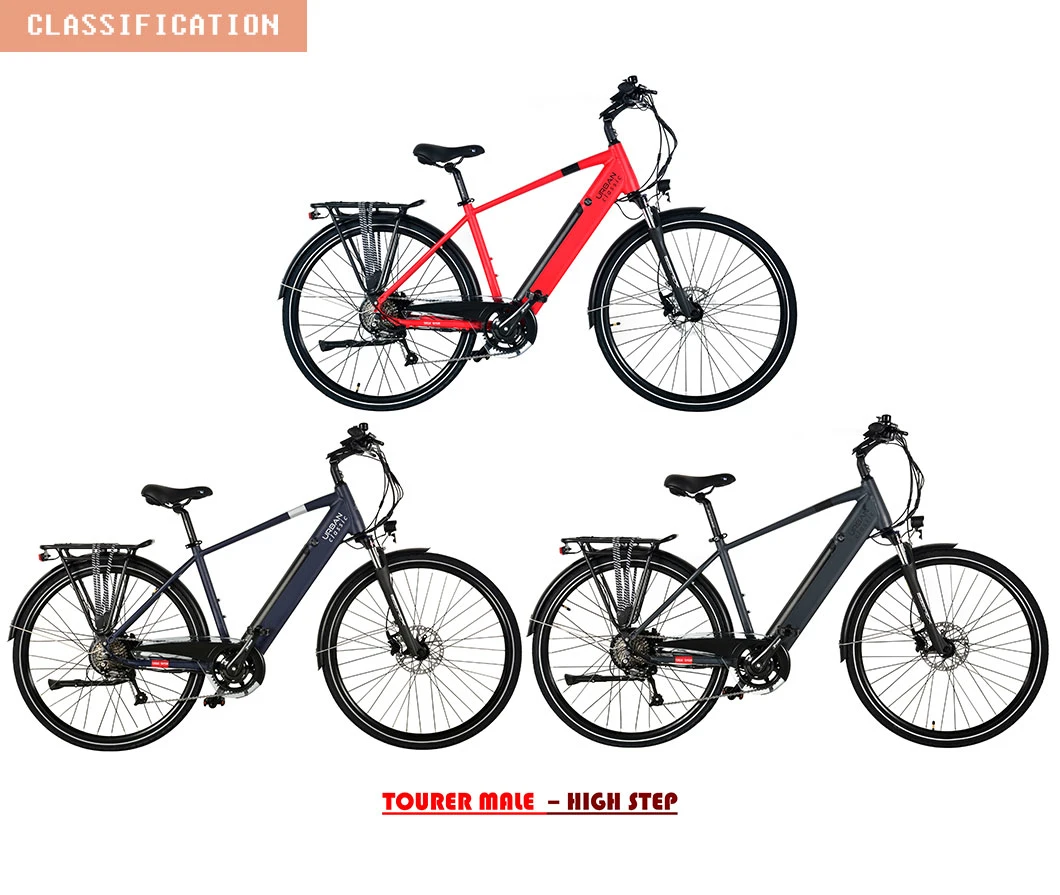 500W Urban Style Ebike with 48V Removable Lithium Battery Electric Bike