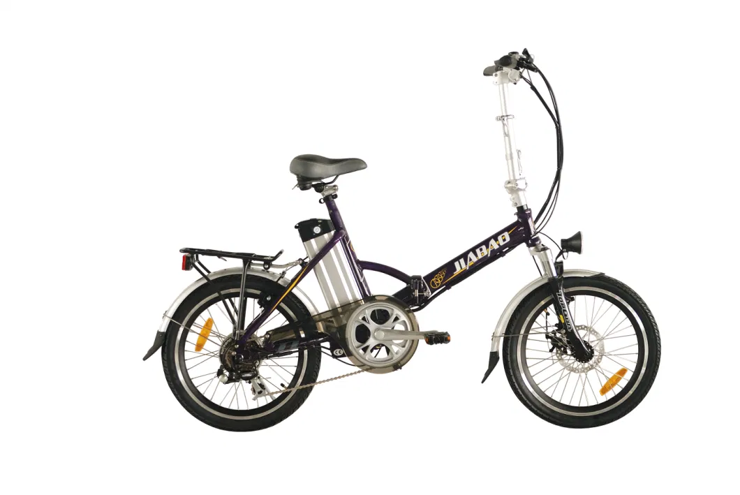 Electric Folding Lady Bike 20 Inch Ebike