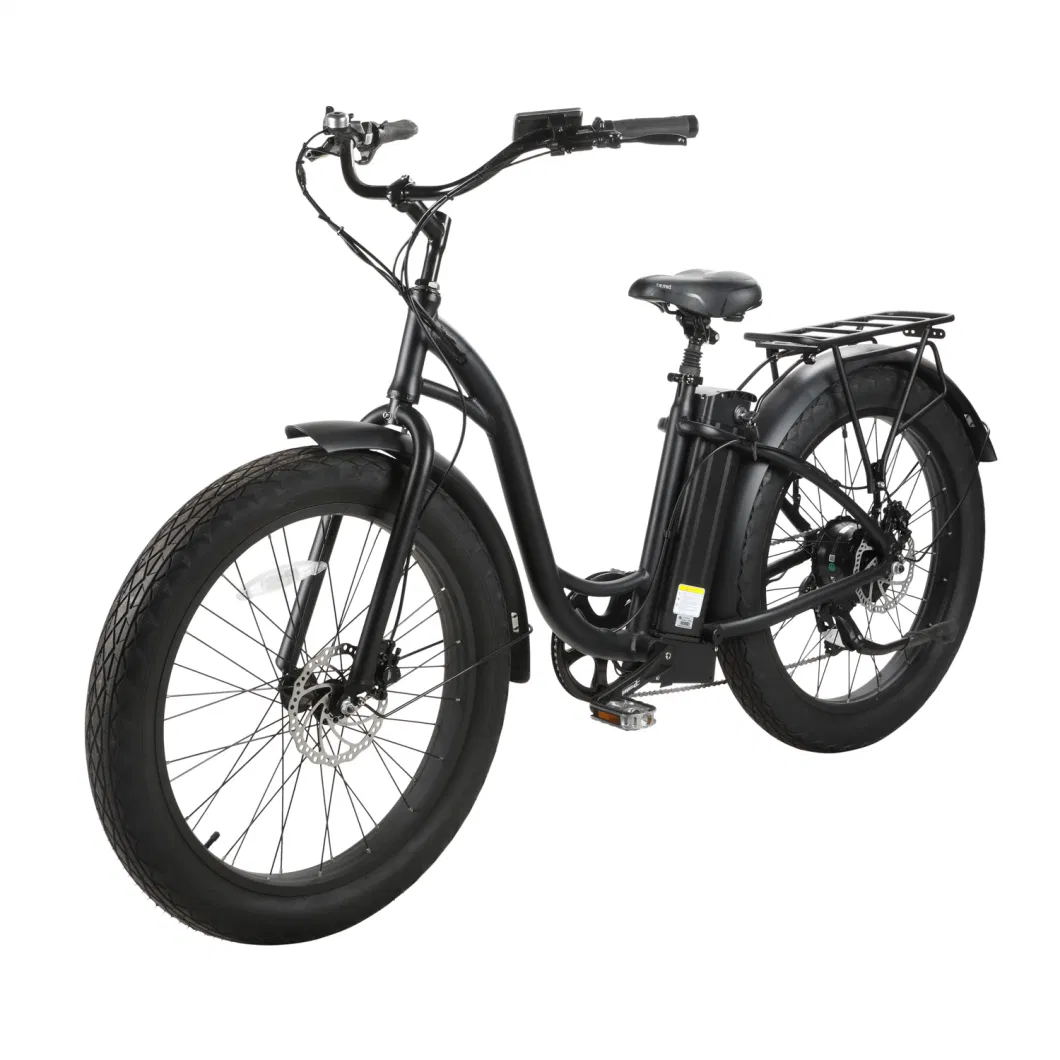 Hot Sale Adult E-Bike with Lithium Battery Cruise Type
