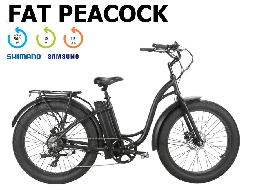 Hot Sale Adult E-Bike with Lithium Battery Cruise Type