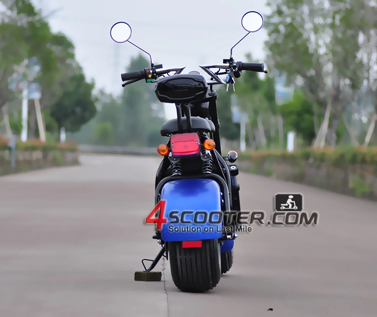 Chinese Electric Wheel Citycoco Electric Bicycle for Sale