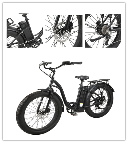 Hot Sale Adult E-Bike with Lithium Battery Cruise Type