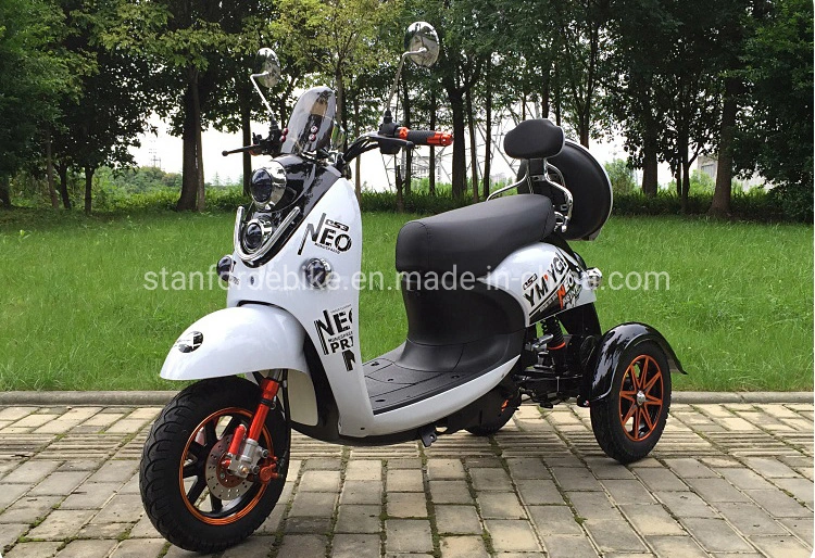 3 Wheel Adult Electric Tricycle 60V 20ah Lithium Battery 1200W Trike Electric Bicycle