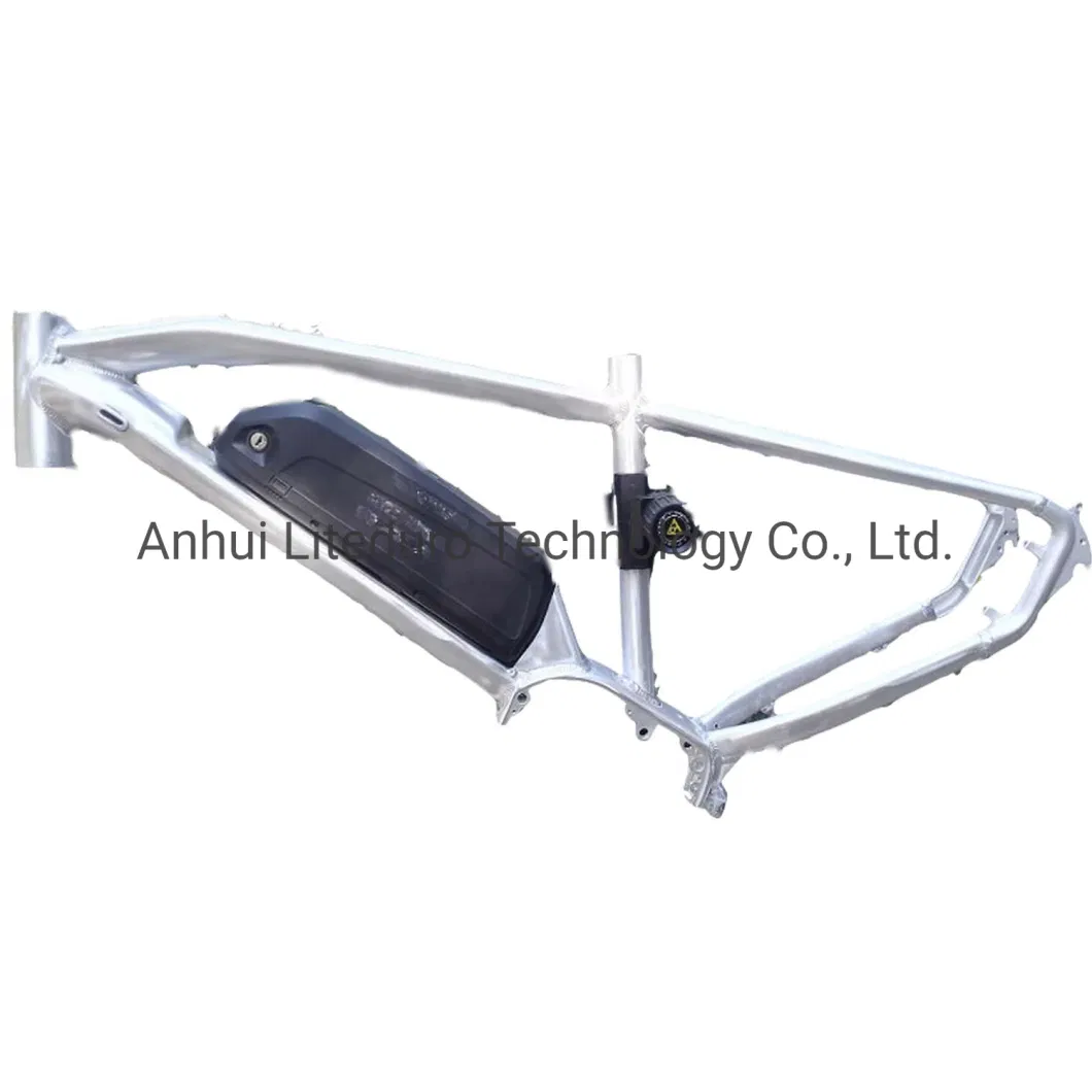 Bicycle Parts Electric Bicycle 1000W Hardtail Aluminum Ebike Frame