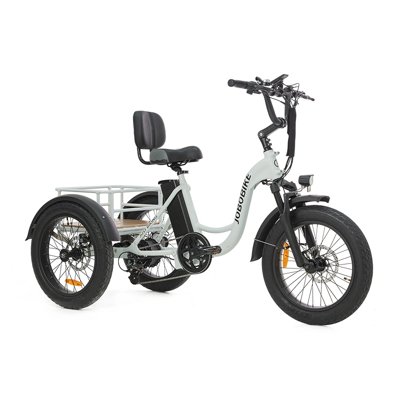 3 Wheel Bike Electric Trike Aluminum Adult Tricycle with Pedal