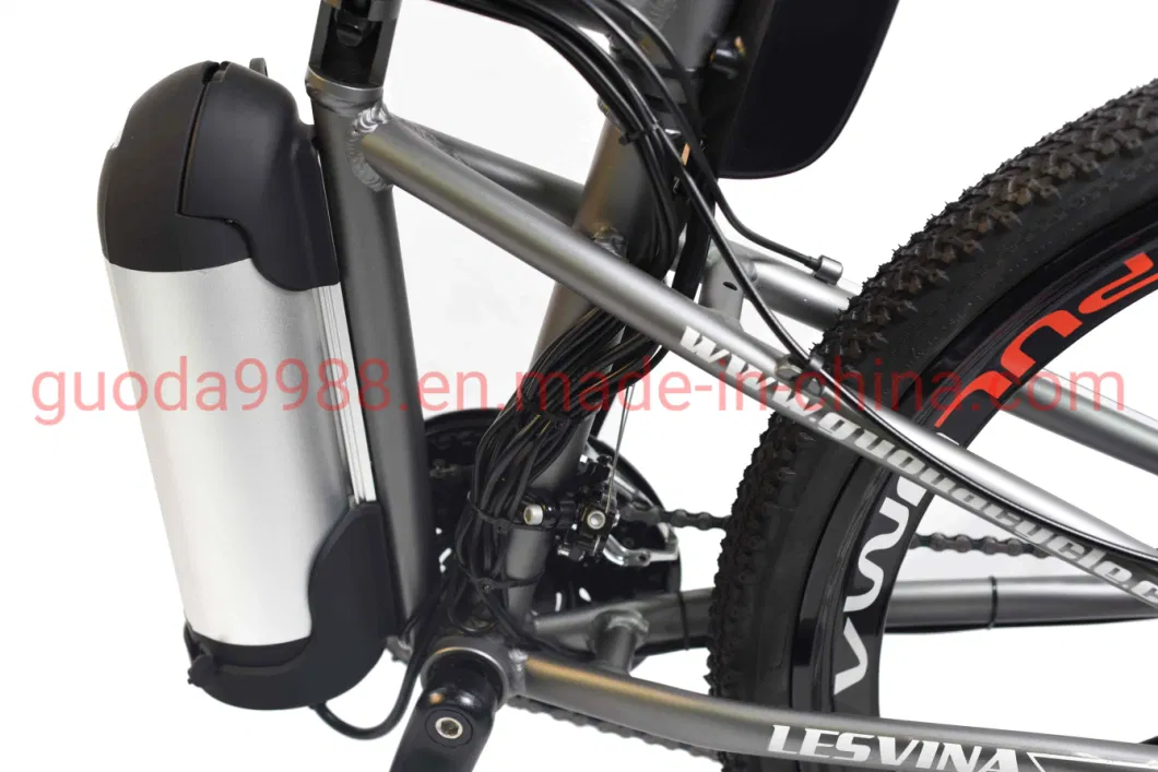 Lithium Battery Foldable Electric Bike with 3 Knife Rim Ebike