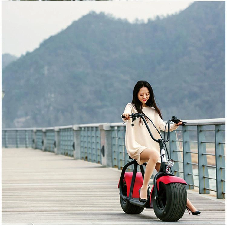 2wheel 60V 1000W Citycoco Mobility Scooter Electric Scooter E-Scooter with Seat E-Scooter