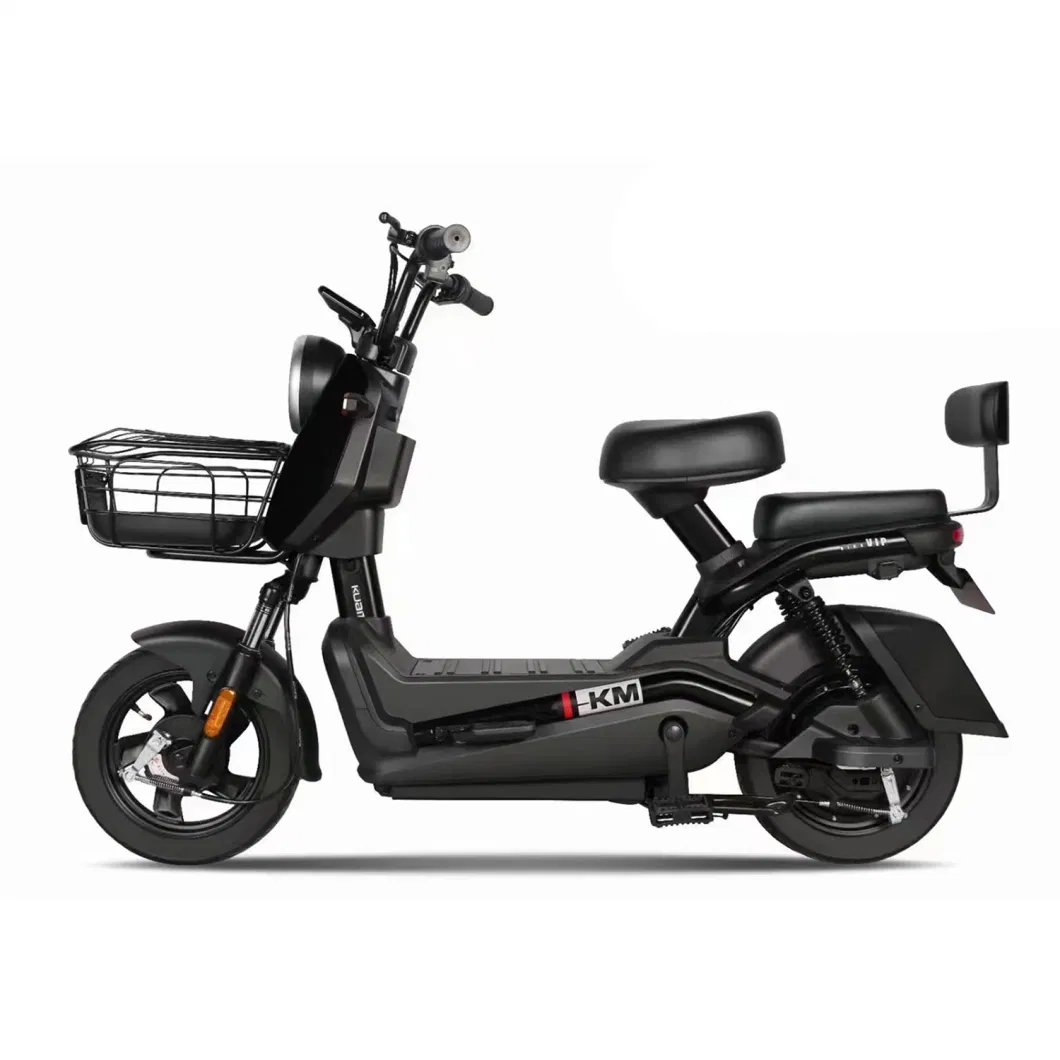 China Electric Bicycle 2023 New Product Fat Tire Electric Bicycle Scooter