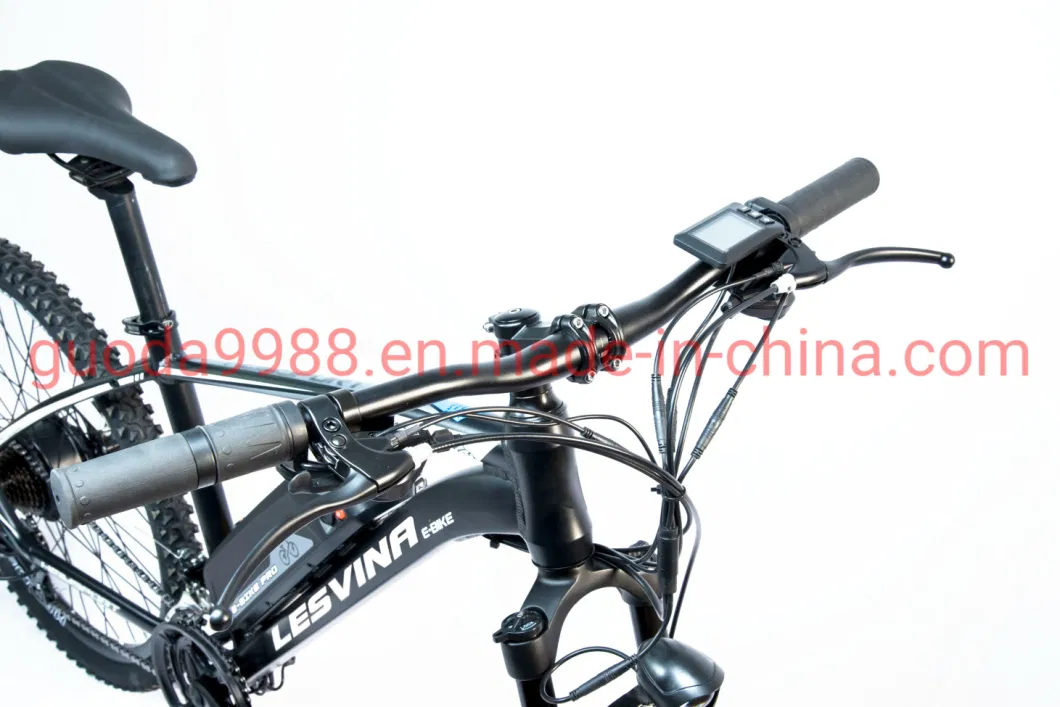 36V 300W Electric Bike Lithium Battery Bicycle China Wholesale