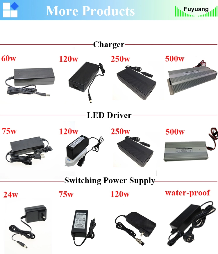Fuyuang 3 Years Warranty CE Listed Fanless 24V 29.4V 2.5A E Bike Scooter Golf Cart Bicycle Lithium Li Ion Battery Charger
