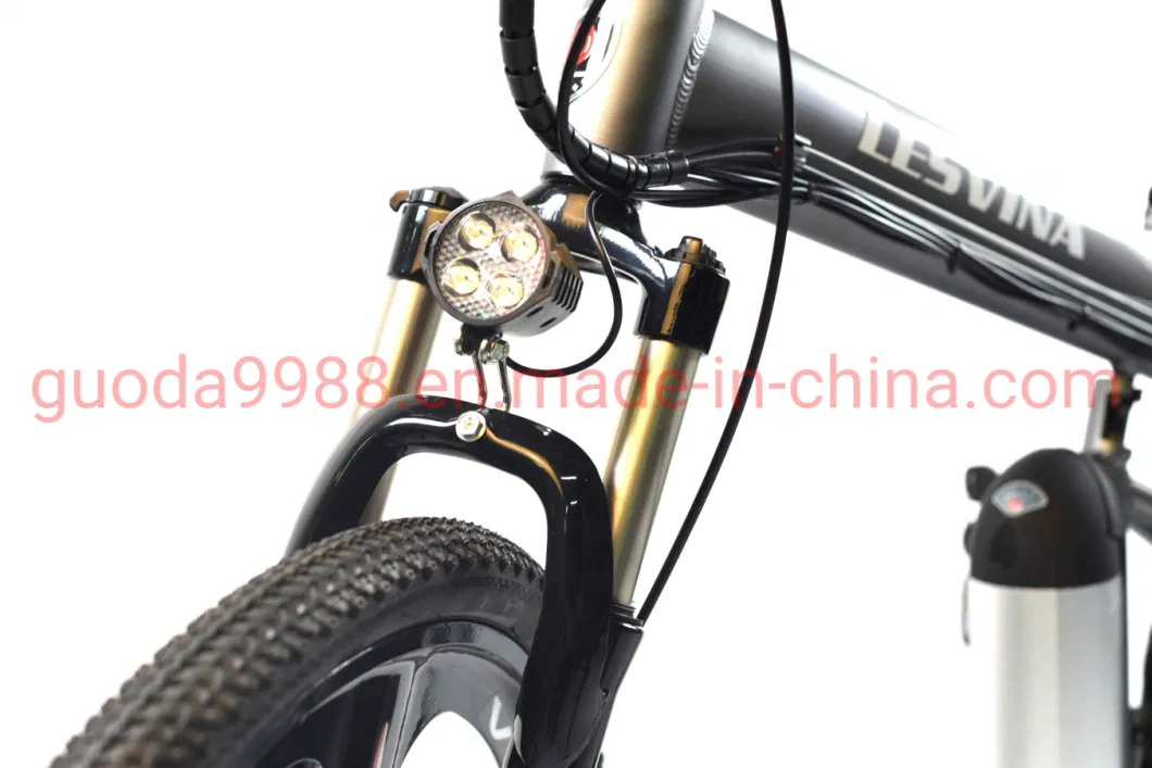 Lithium Battery Foldable Electric Bike with 3 Knife Rim Ebike