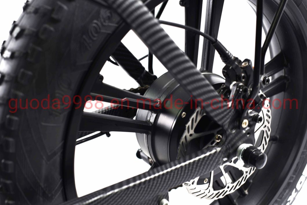 20 Inch Foldable Electric Bike 350W Motorcycle Bicycle Ebike