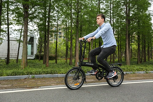 Hidden Battery Foldable Electric 350W Mini Bicycle with 20 Inch Wheels Jb-Tdn12z