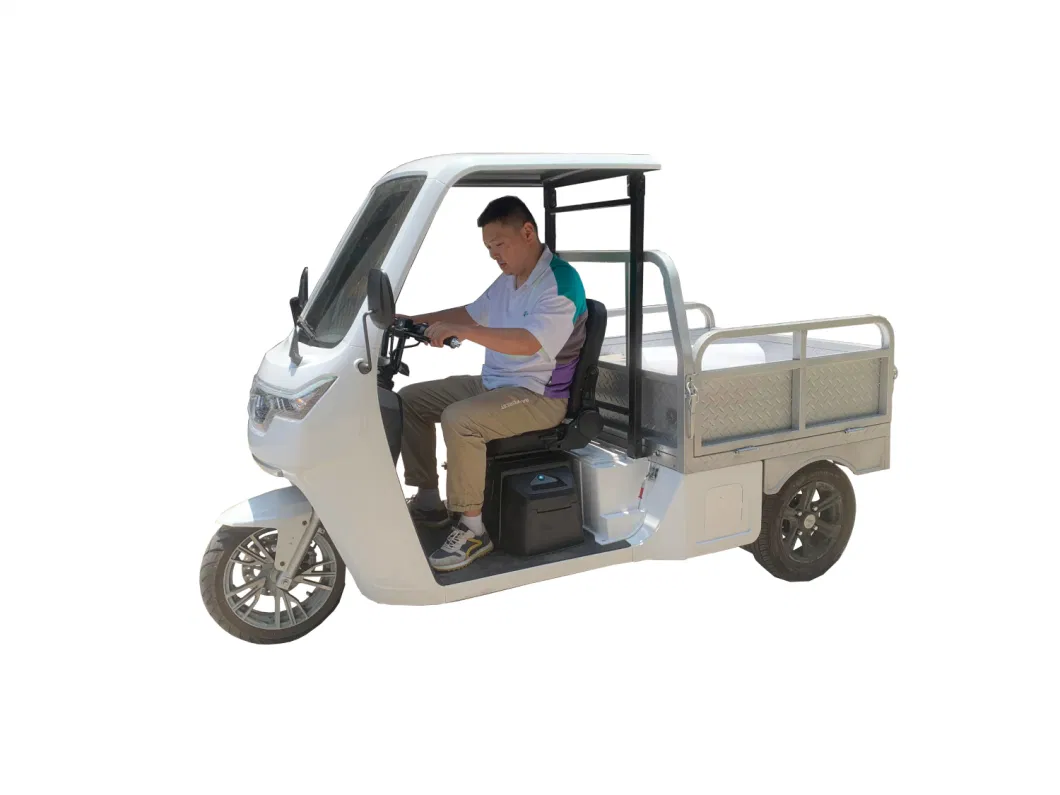 2.5kw Electric Tricycle Cargo Trikes for Delivery Express Electric Tricycle for Cargo Van