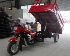 Auto Rickshaw Red Color Tricycle Cargo Tricycle Motorcycle 3 Wheel Tricycle Gasoline Tricycle Rickshaw Tuktuk