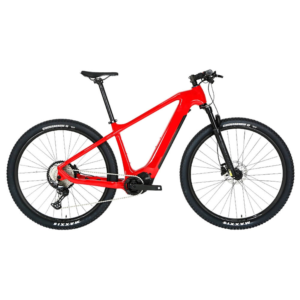 Carbon Fiber Electric Bike High Speed MID Drive Electrical Bike Adult Electric Mountain Bike