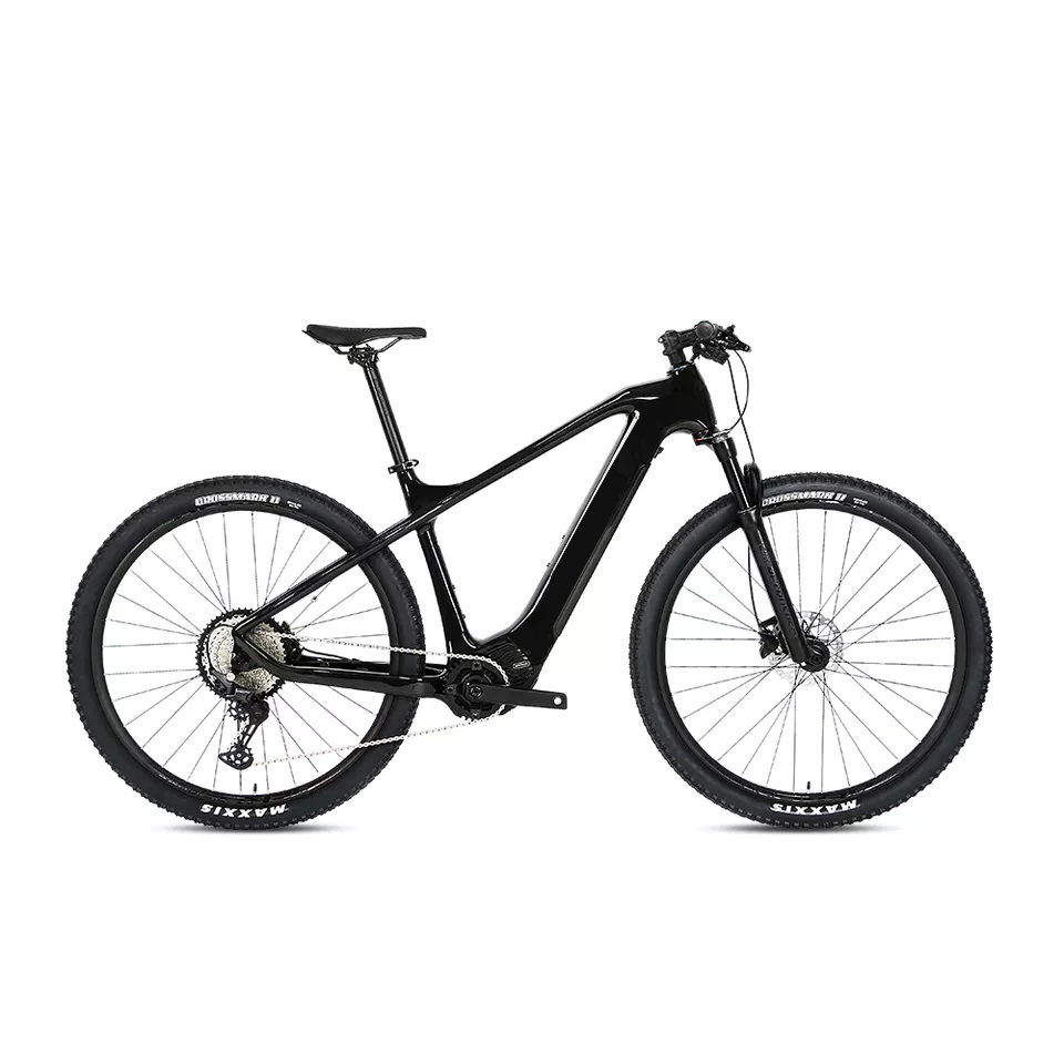 Carbon Fiber Electric Bike High Speed MID Drive Electrical Bike Adult Electric Mountain Bike