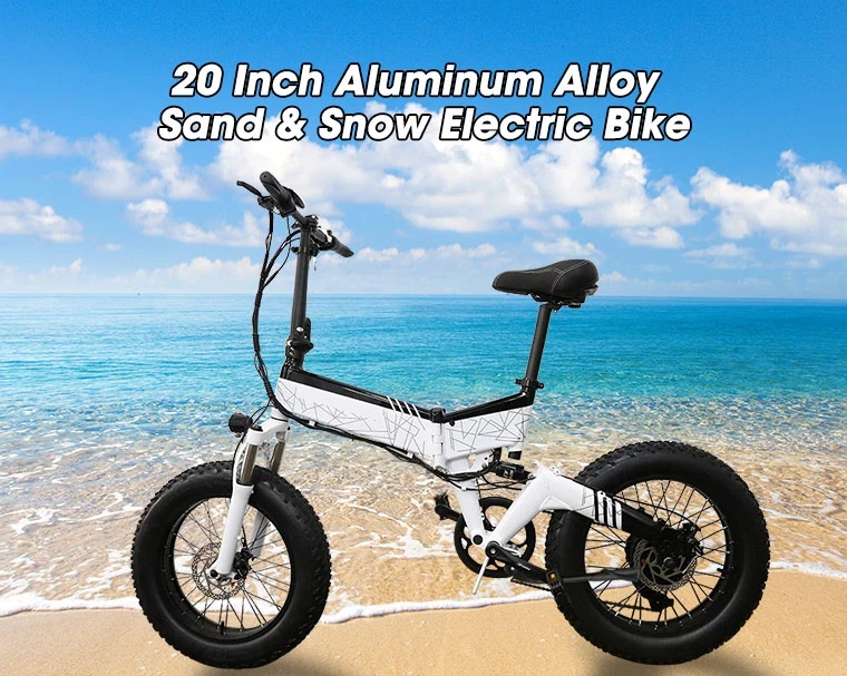 ODM DC 750W Folding 20 Inch Hybrid Fat Wheel E Ebike 48V Electric Bike