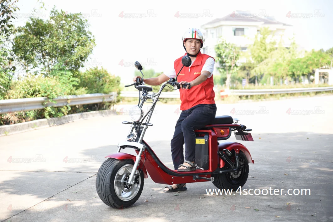 New Hot Selling Heavy Load Citycoco Scooter Electric Motorbike