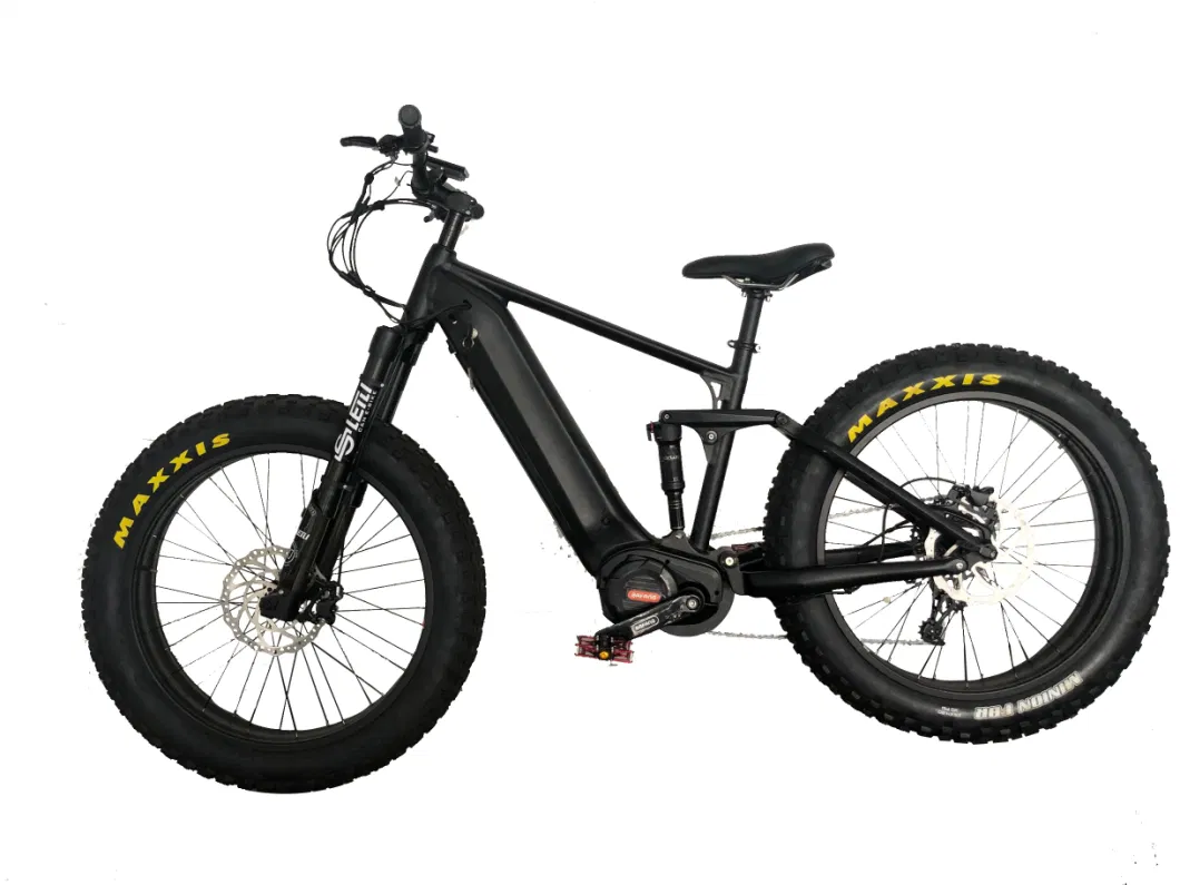 Ultra M620 Central Motor 9/11 Speeds 48V 750W/1000W Fat Tire Electric Cycle for Sale