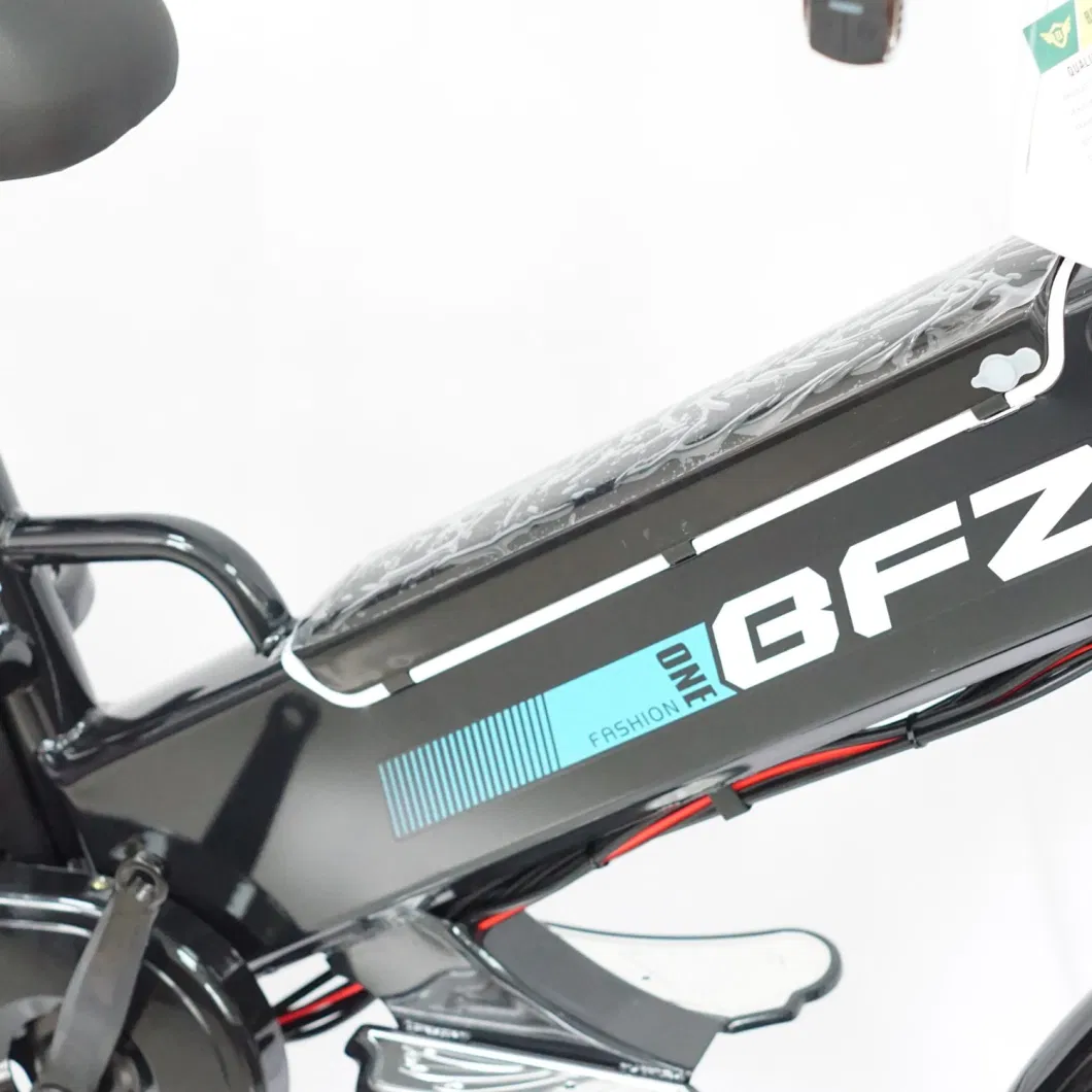 Bfz 100km Endurance Delivery Electric Bike Double People Cycle Travel Bicycle