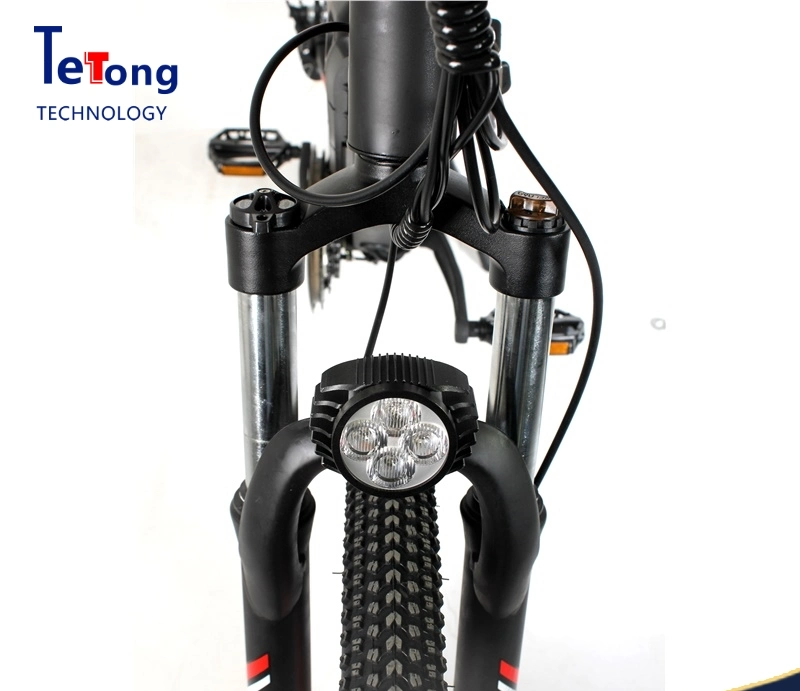 48V13A 500W Rear Motor Electric Bike, Electric Bike Kit, Fat Electric Mountain Bike