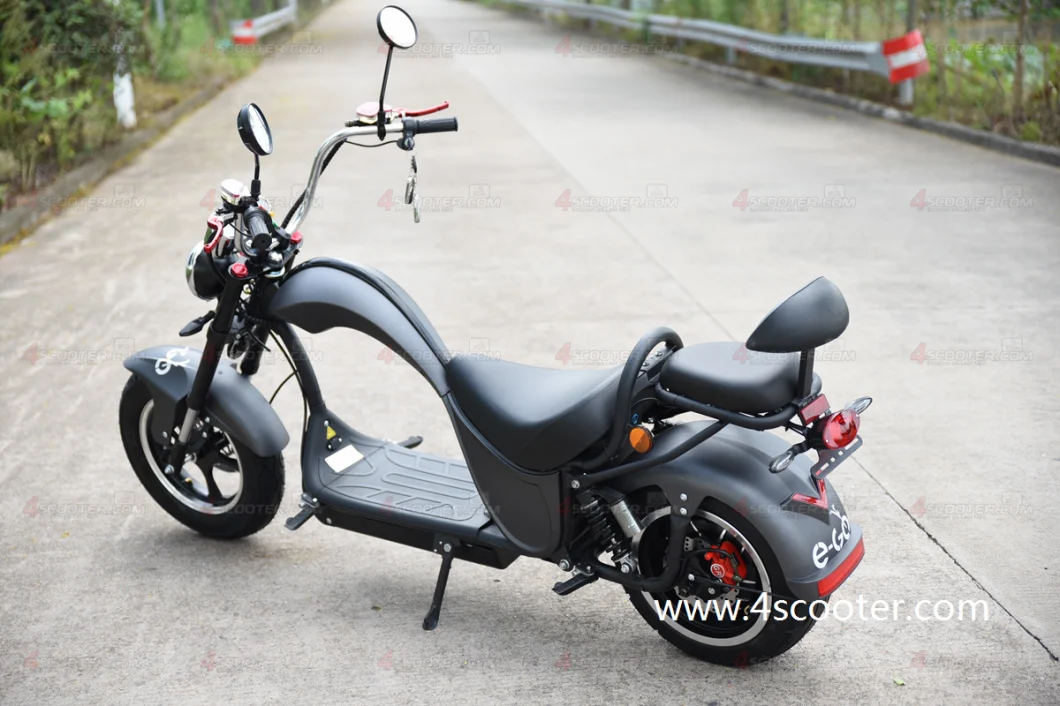 2023 New EEC Adult Electric Chopper Bike Scooter with Two Seater