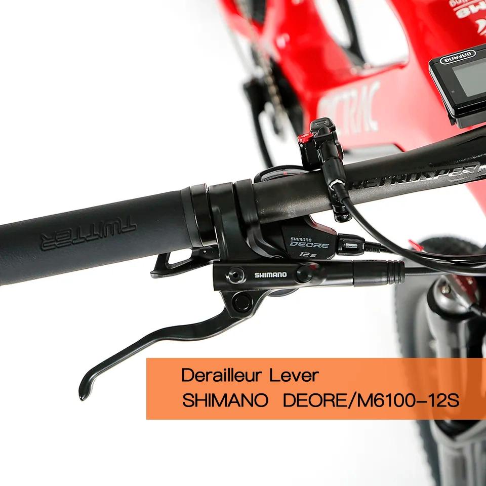 Ultralight Carbon Fiber Bike 250W MID Drive Full Suspension Battery Cycle Electric Mountain Bike