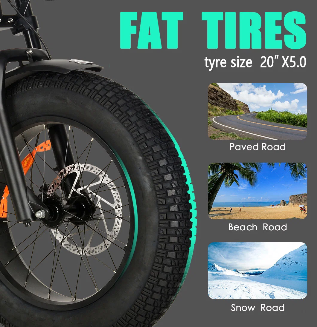 48V 20ah Lithium Battery Ebike 750watts Bafang Motor 20&quot; Fat Tyre Electric Bike