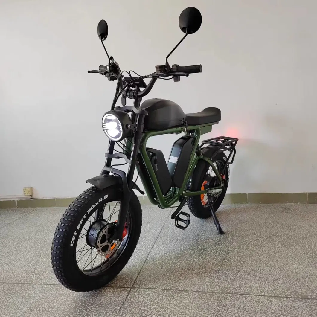 E Bike 48V 2000W 70ah Dual Motor Electric Bike Triple Battery Electric Fat Bike