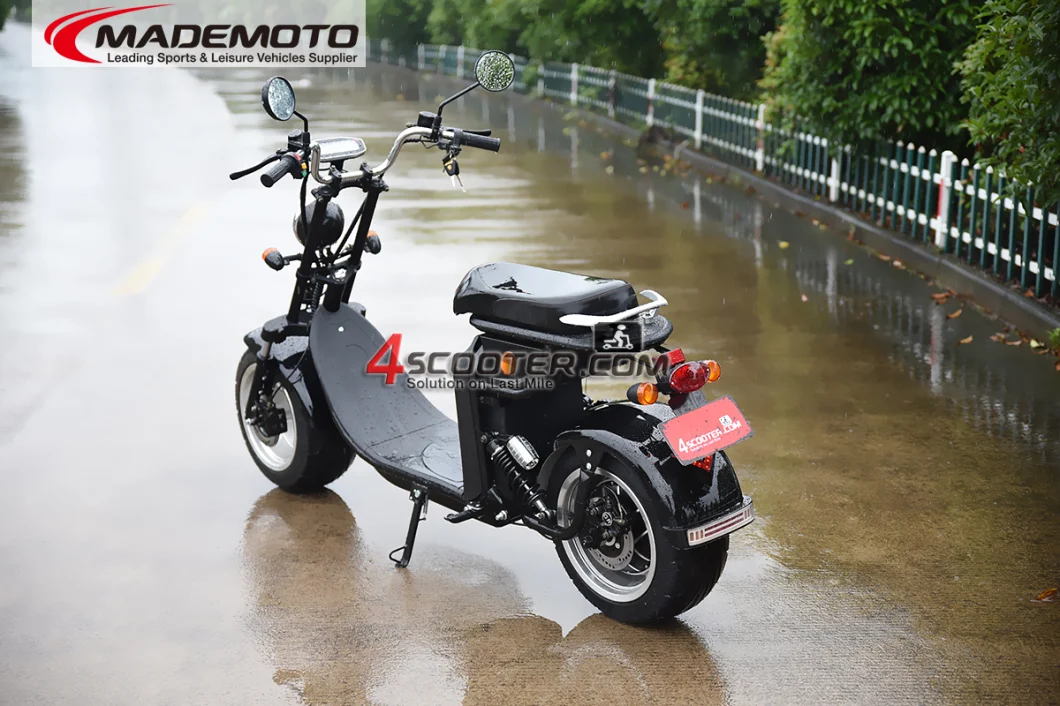 New Hot Selling Heavy Load Citycoco Scooter Electric Motorbike