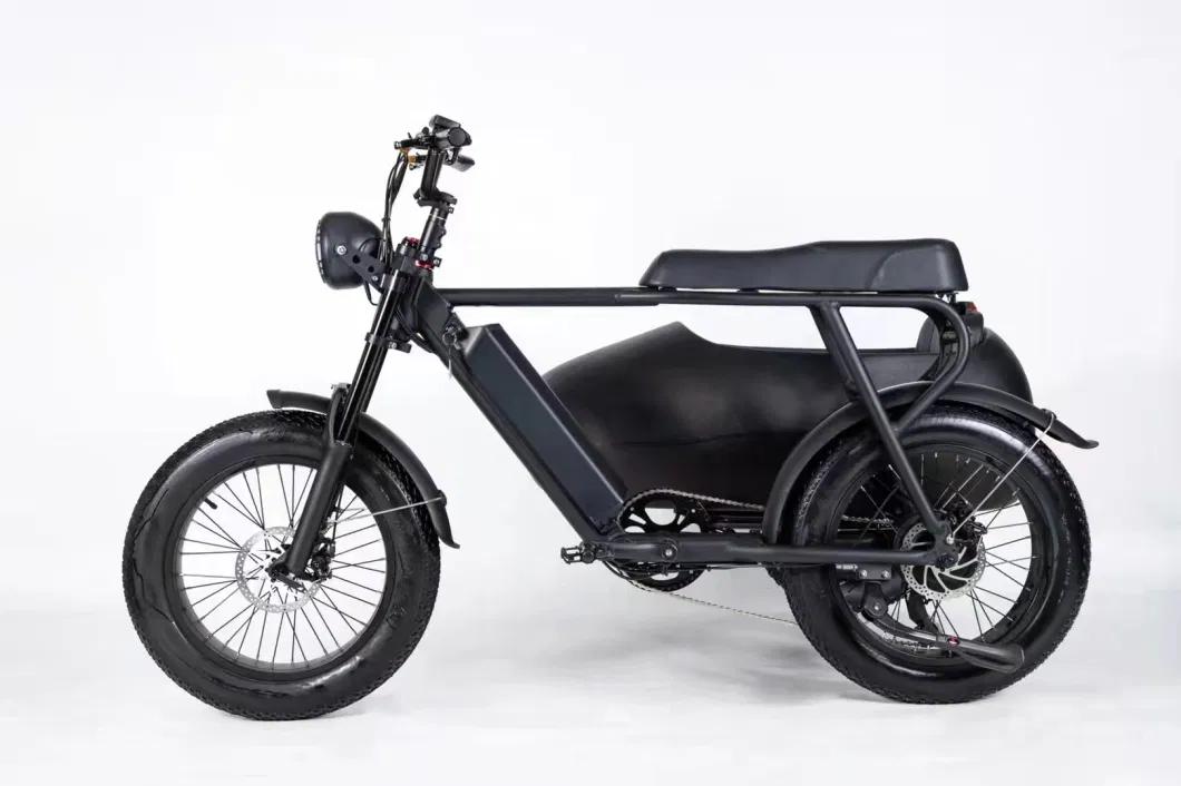 Electric Bike Bicycle 750W Motor Full Suspension Bicycle Electric Bike