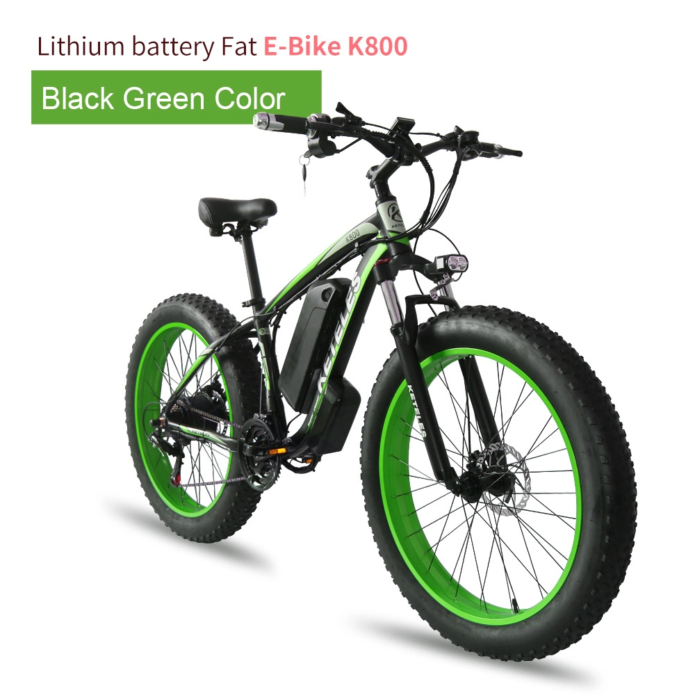 Electric Bike 36V 250W 48V 500W Fat Tire E-Scooter for Adult