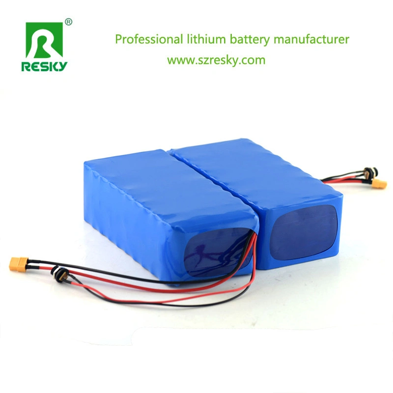 24V 10ah Polymer Lithium Battery for 250W Electric Bike Kit