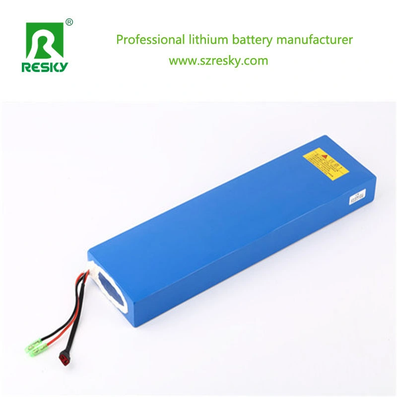 24V 10ah Polymer Lithium Battery for 250W Electric Bike Kit