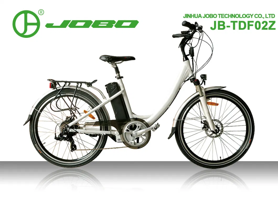 Electric City Bike with Rear Carrier