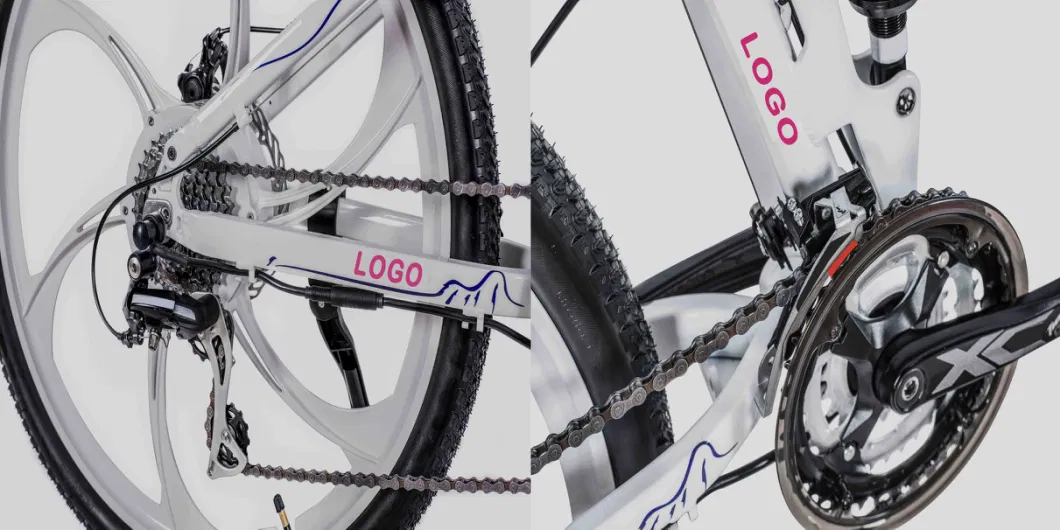 Foldable E Bicycle Aluminium Alloy Frame with Hidden Battery