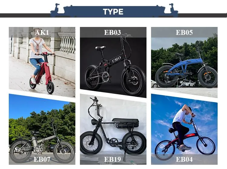 Factory Direct Sales 16&quot; Electric Bicycle 36V 6ah Lithium Battery Customized E-Bike