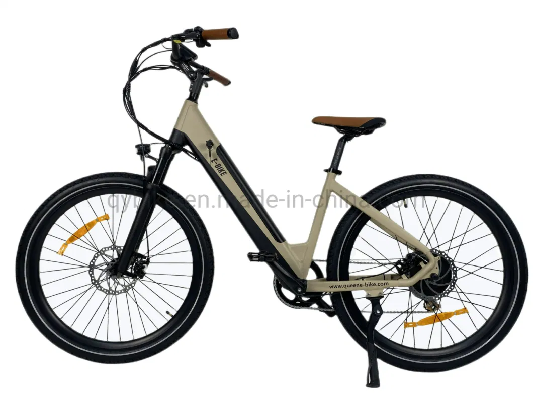 Queene Customized New Retro Electric Bike Adult Electric Bicycle with Lithium Battery