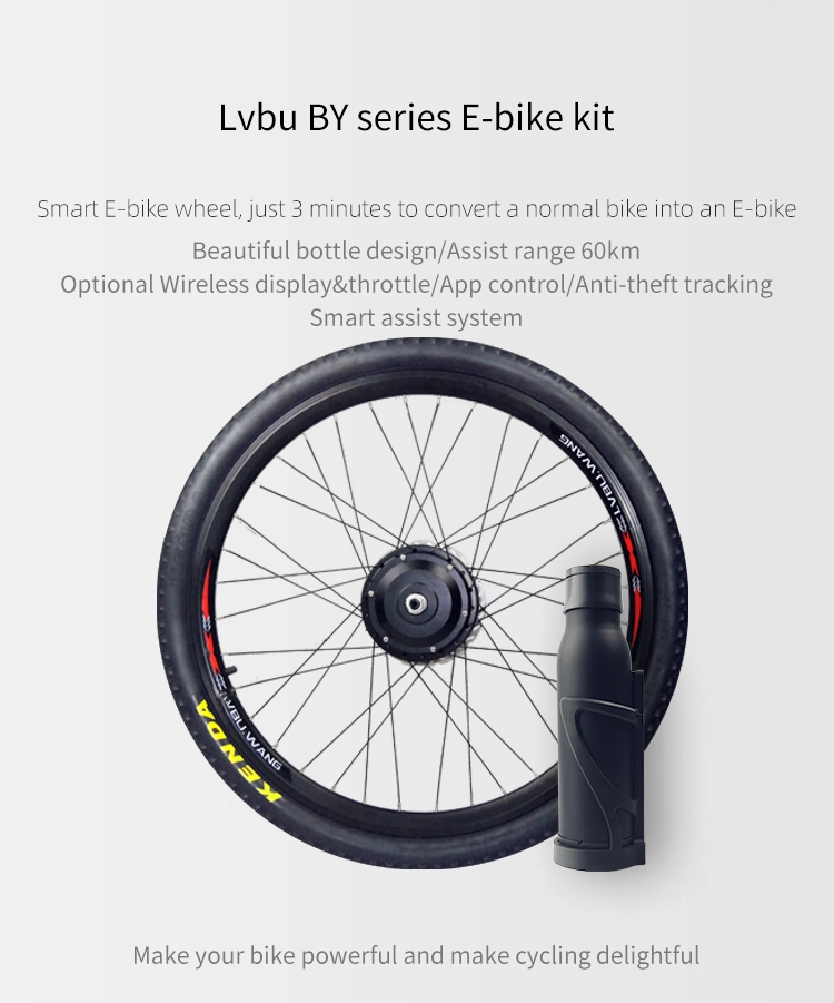 Lvbu Wheel By20d 250W Electric Bike Kit Battery Bicycle Front Wheel Kit