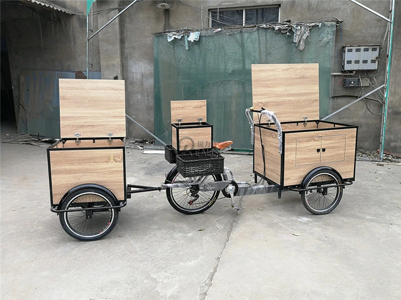 Retro Electric Three Wheels Cargo Bike Adult Tricycle Mobile Food Display Cart for Sale Coffee Fruit Beer on The Street