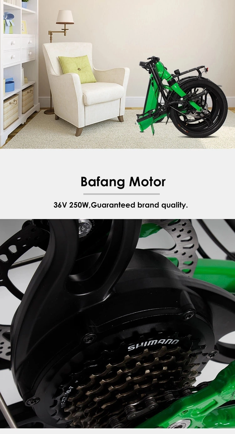 20 Inch Step-Thru Electric Bike with Lithium Battery Guangzhou Factory