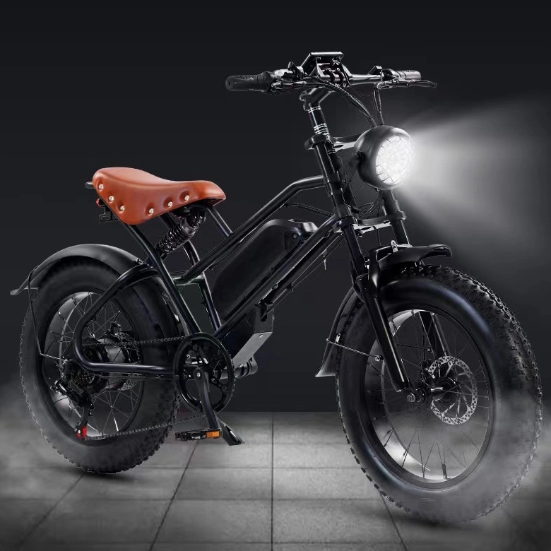 off Road Bicycle Electric 20&quot;*4.0 Fat Tire Rim 500W 48V Snow Scooter Bike with Multiple Shock Absorption